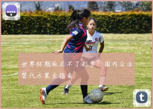 世界杯期间买不了彩票？国内合法替代方案全指南