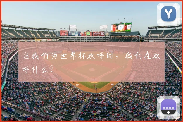 当我们为世界杯欢呼时,我们在欢呼什么?