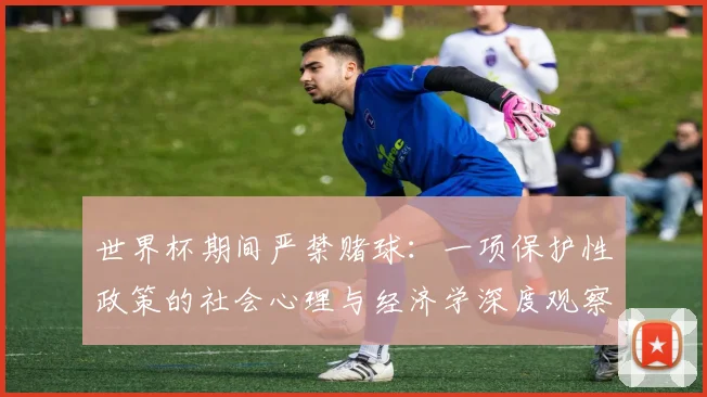 世界杯期间严禁赌球：一项保护性政策的社会心理与经济学深度观察