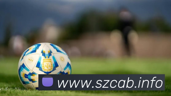 九州体育APP 体育赛事宣传图